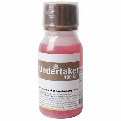 UNDERTAKER TERMITICIDE - 250ML